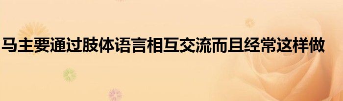 馬主要通過肢體語言相互交流而且經(jīng)常這樣做