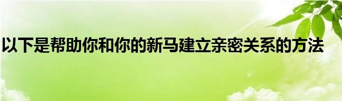 以下是幫助你和你的新馬建立親密關系的方法