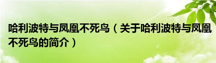 哈利波特與鳳凰不死鳥（關(guān)于哈利波特與鳳凰不死鳥的簡介）