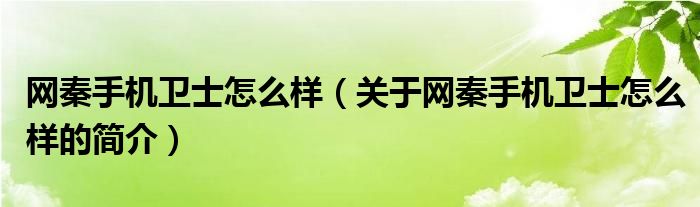 網(wǎng)秦手機(jī)衛(wèi)士怎么樣（關(guān)于網(wǎng)秦手機(jī)衛(wèi)士怎么樣的簡介）