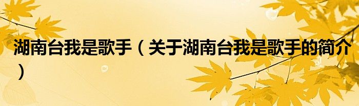 湖南臺(tái)我是歌手（關(guān)于湖南臺(tái)我是歌手的簡介）