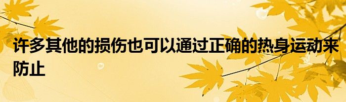 許多其他的損傷也可以通過(guò)正確的熱身運(yùn)動(dòng)來(lái)防止