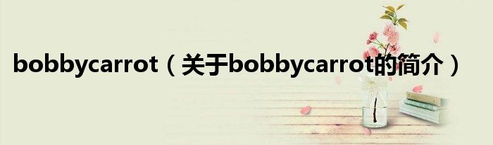 bobbycarrot（關(guān)于bobbycarrot的簡(jiǎn)介）