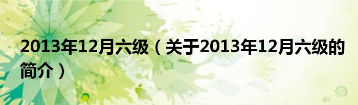 2013年12月六級（關(guān)于2013年12月六級的簡介）