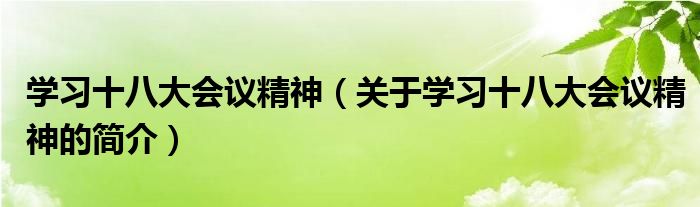 學(xué)習(xí)十八大會議精神（關(guān)于學(xué)習(xí)十八大會議精神的簡介）