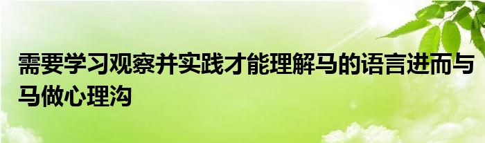 需要學(xué)習(xí)觀察并實踐才能理解馬的語言進而與馬做心理溝