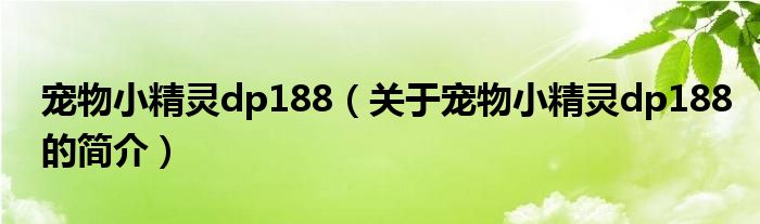 寵物小精靈dp188（關于寵物小精靈dp188的簡介）