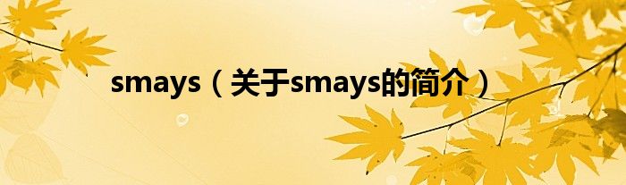 smays（關于smays的簡介）