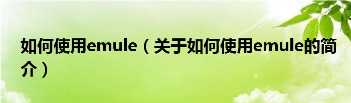 如何使用emule（關于如何使用emule的簡介）