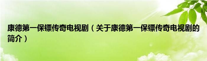 康德第一保鏢傳奇電視?。P(guān)于康德第一保鏢傳奇電視劇的簡介）