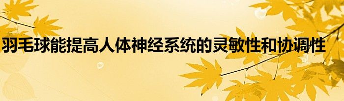 羽毛球能提高人體神經(jīng)系統(tǒng)的靈敏性和協(xié)調性