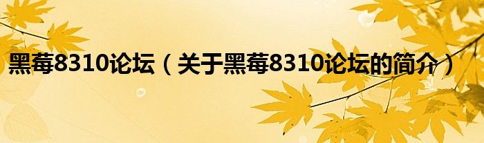 黑莓8310論壇（關于黑莓8310論壇的簡介）