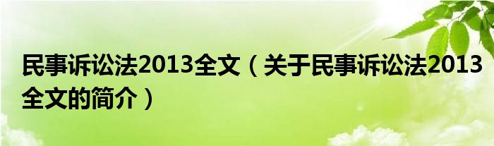 民事訴訟法2013全文（關(guān)于民事訴訟法2013全文的簡介）