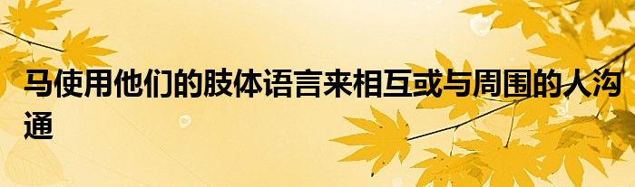 馬使用他們的肢體語(yǔ)言來相互或與周圍的人溝通