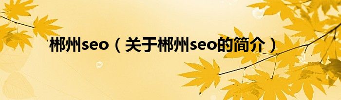 郴州seo（關于郴州seo的簡介）