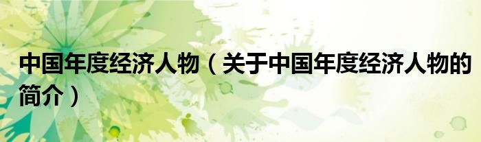 中國(guó)年度經(jīng)濟(jì)人物（關(guān)于中國(guó)年度經(jīng)濟(jì)人物的簡(jiǎn)介）