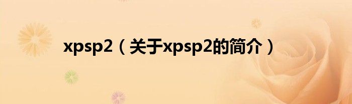 xpsp2（關于xpsp2的簡介）