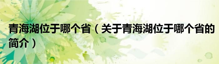 青海湖位于哪個?。P于青海湖位于哪個省的簡介）