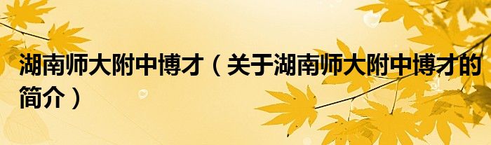 湖南師大附中博才（關(guān)于湖南師大附中博才的簡(jiǎn)介）