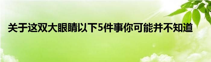 關于這雙大眼睛以下5件事你可能并不知道