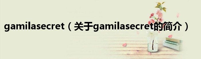 gamilasecret（關(guān)于gamilasecret的簡介）