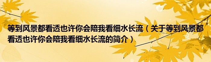 等到風(fēng)景都看透也許你會(huì)陪我看細(xì)水長(zhǎng)流（關(guān)于等到風(fēng)景都看透也許你會(huì)陪我看細(xì)水長(zhǎng)流的簡(jiǎn)介）