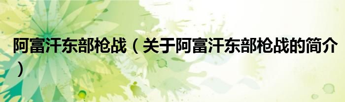 阿富汗東部槍?xiě)?zhàn)（關(guān)于阿富汗東部槍?xiě)?zhàn)的簡(jiǎn)介）