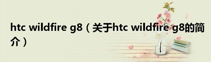 htc wildfire g8（關(guān)于htc wildfire g8的簡介）