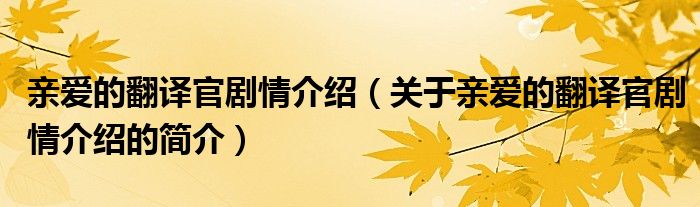 親愛的翻譯官劇情介紹（關(guān)于親愛的翻譯官劇情介紹的簡介）