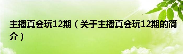 主播真會玩12期（關(guān)于主播真會玩12期的簡介）