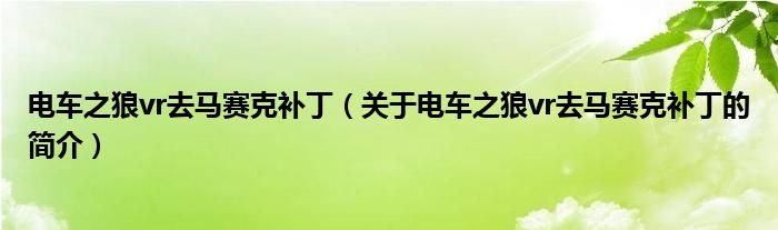 電車之狼vr去馬賽克補(bǔ)?。P(guān)于電車之狼vr去馬賽克補(bǔ)丁的簡介）