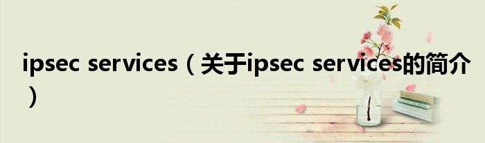 ipsec services（關(guān)于ipsec services的簡介）