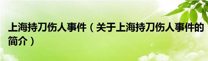 上海持刀傷人事件（關(guān)于上海持刀傷人事件的簡(jiǎn)介）