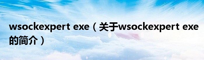 wsockexpert exe（關(guān)于wsockexpert exe的簡介）