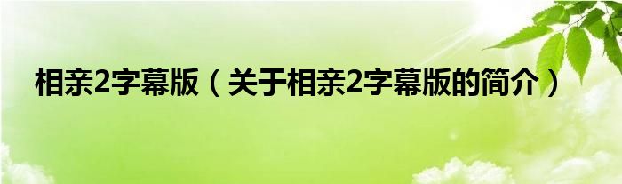 相親2字幕版（關(guān)于相親2字幕版的簡介）