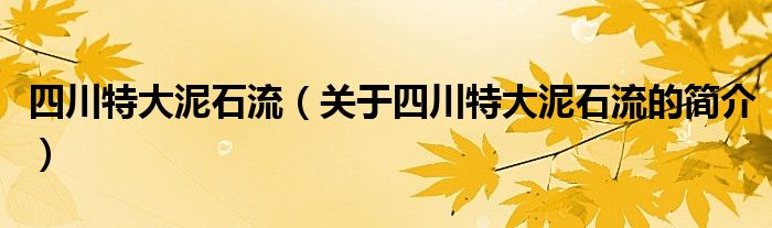 四川特大泥石流（關(guān)于四川特大泥石流的簡介）