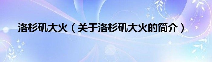 洛杉磯大火（關(guān)于洛杉磯大火的簡(jiǎn)介）