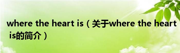 where the heart is（關(guān)于where the heart is的簡(jiǎn)介）