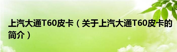 上汽大通T60皮卡（關于上汽大通T60皮卡的簡介）