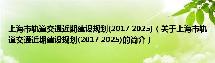 上海市軌道交通近期建設(shè)規(guī)劃(2017 2025)（關(guān)于上海市軌道交通近期建設(shè)規(guī)劃(2017 2025)的簡(jiǎn)介）