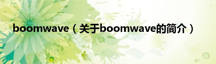 boomwave（關(guān)于boomwave的簡介）