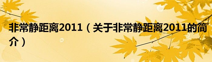 非常靜距離2011（關(guān)于非常靜距離2011的簡(jiǎn)介）