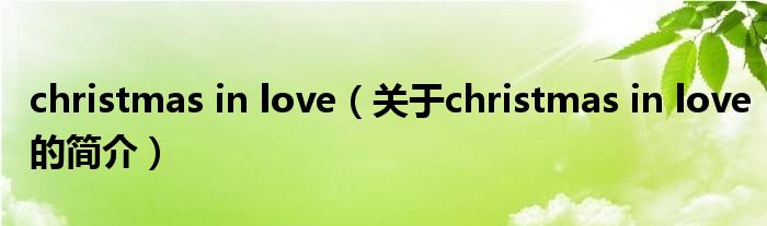 christmas in love（關(guān)于christmas in love的簡介）