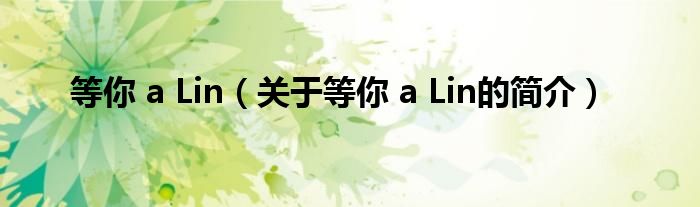 等你 a Lin（關(guān)于等你 a Lin的簡(jiǎn)介）