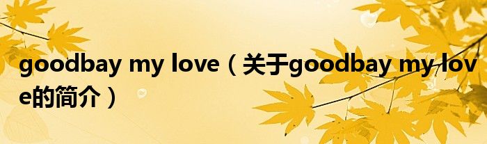 goodbay my love（關(guān)于goodbay my love的簡介）