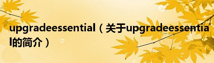 upgradeessential（關于upgradeessential的簡介）