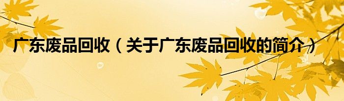 廣東廢品回收（關(guān)于廣東廢品回收的簡(jiǎn)介）