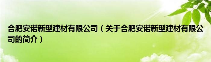 合肥安諾新型建材有限公司（關(guān)于合肥安諾新型建材有限公司的簡介）