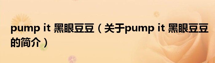 pump it 黑眼豆豆（關(guān)于pump it 黑眼豆豆的簡介）