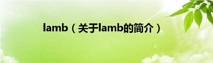 lamb（關(guān)于lamb的簡介）